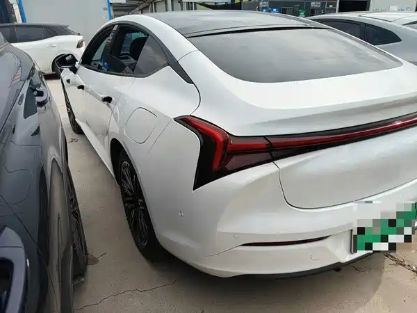 Neta S 2023