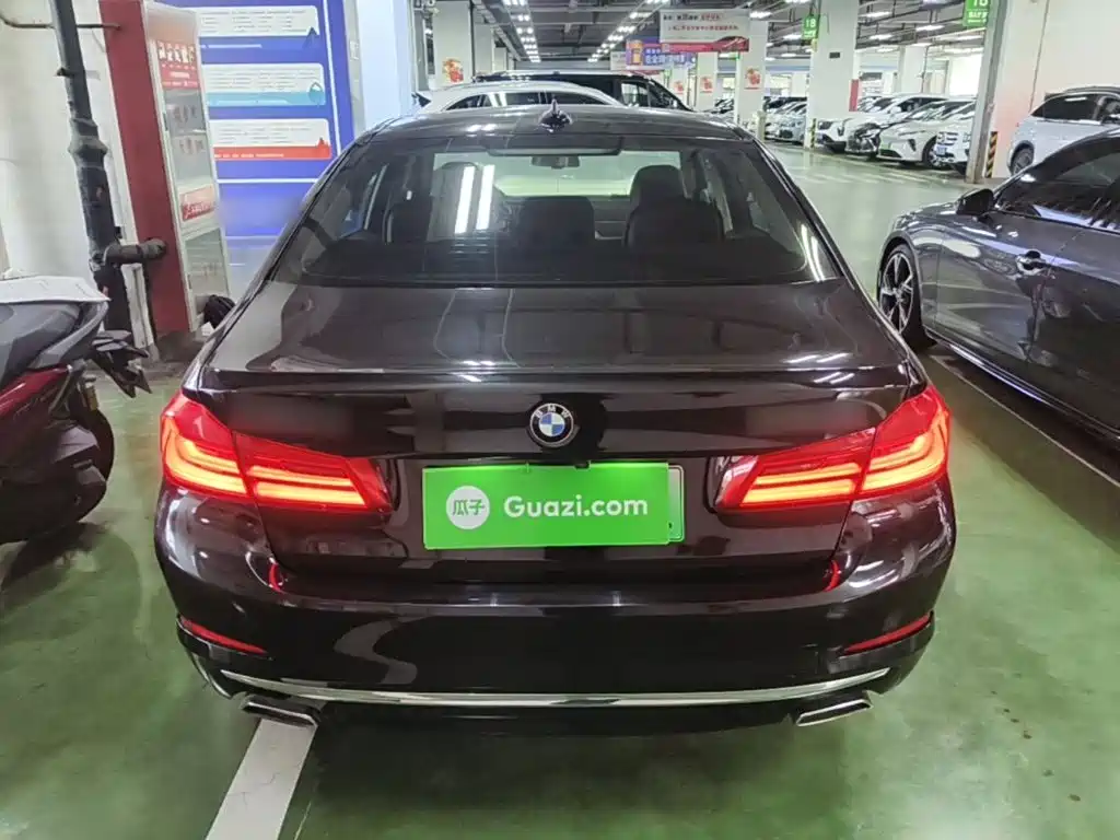 BMW 5 Series New Energy 2020