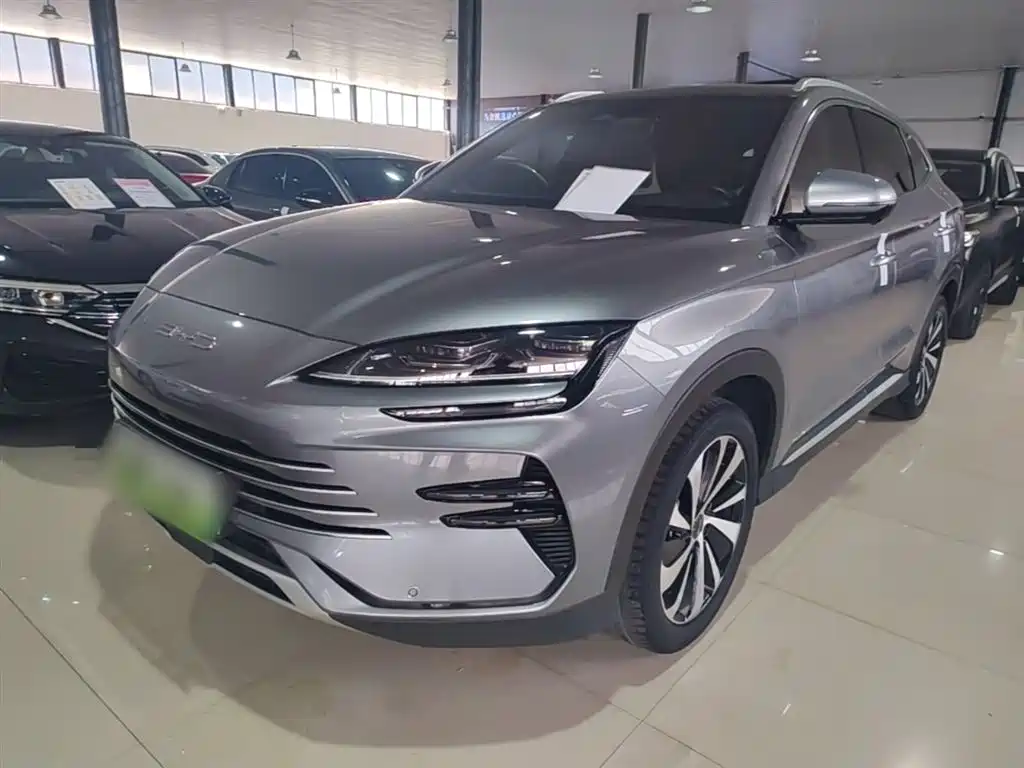 BYD PLUS New Energy 2024 — фото 2