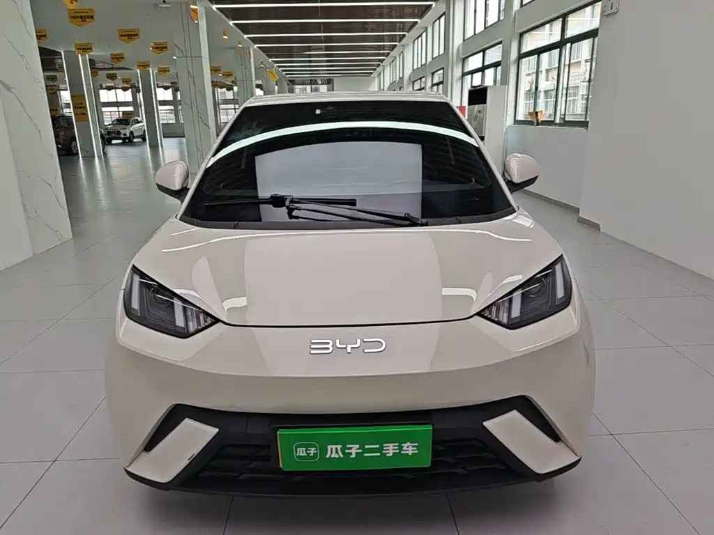 BYD Seagull 2024