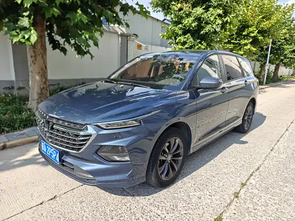 Wuling Victory 2022