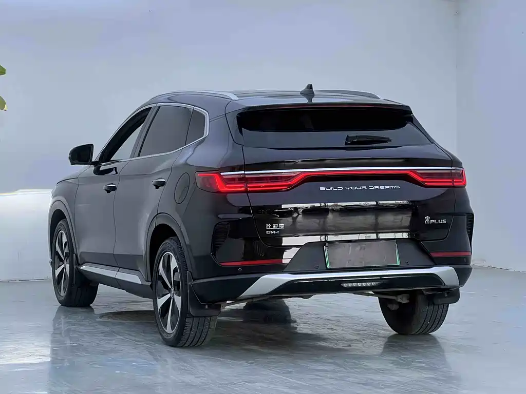 BYD PLUS New Energy 2023 — фото 6