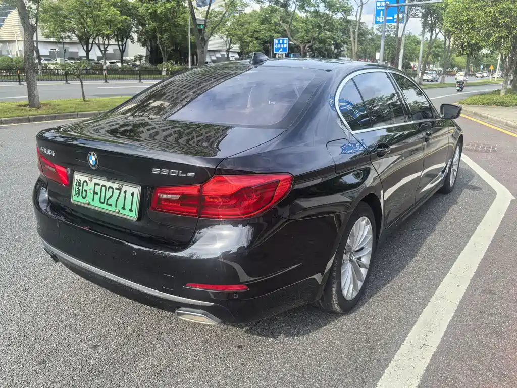 BMW 5 Series New Energy 2020