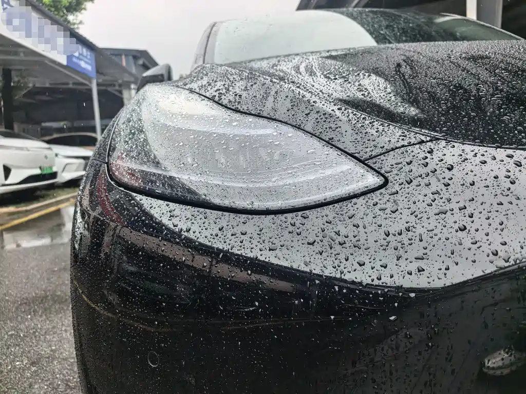 Tesla Model Y 2023 — фото 4
