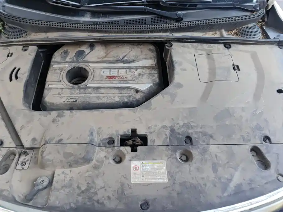 Geely Emgrand GS 2020 — фото 10