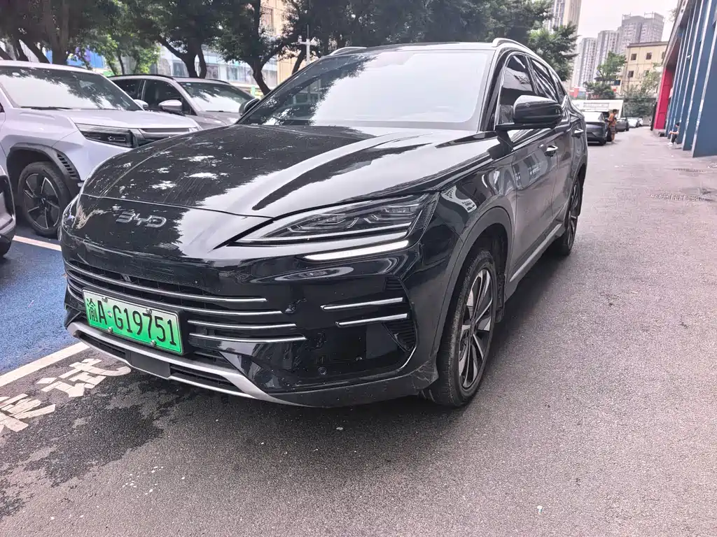 BYD PLUS New Energy 2024 — фото 1