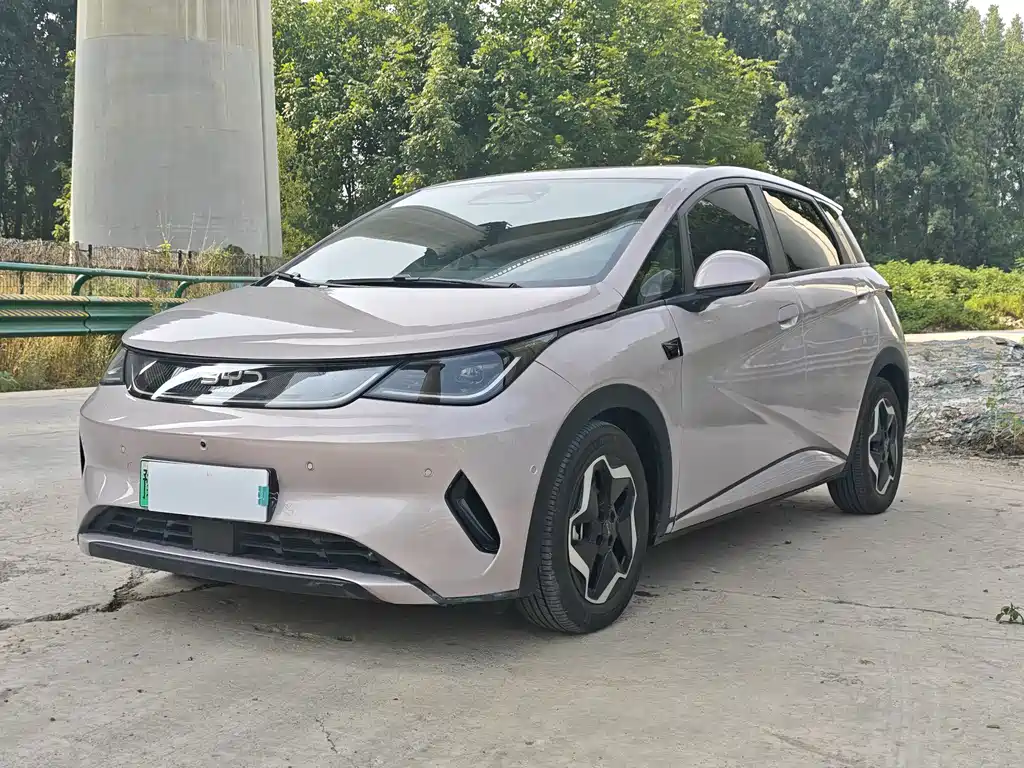 BYD Dolphin 2025