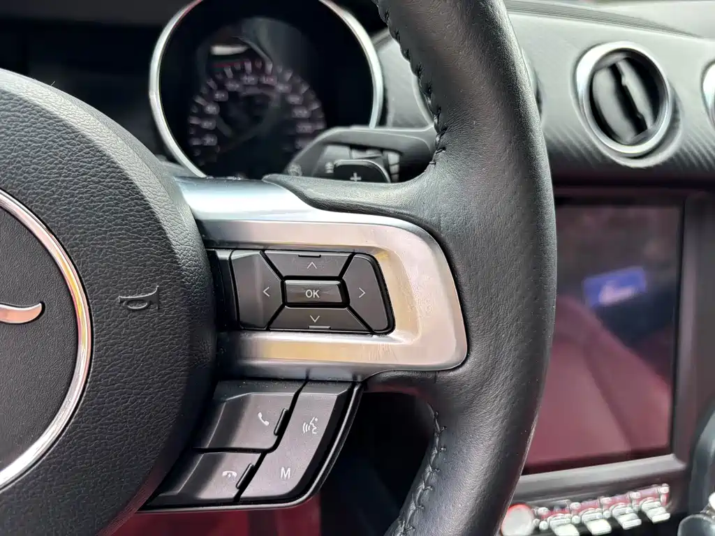 Ford Mustang 2019 — фото 14