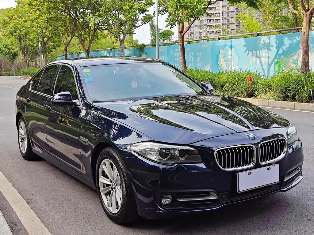 BMW 5 Series 2014 — фото 3