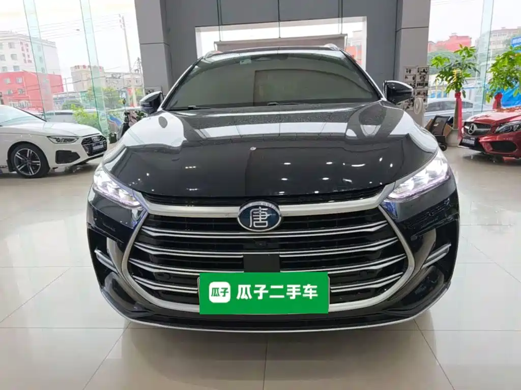 BYD Tang New Energy 2023 — фото 3