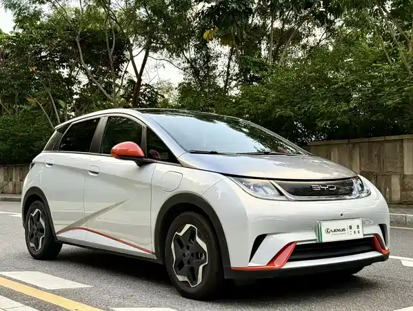 BYD Dolphin 2022