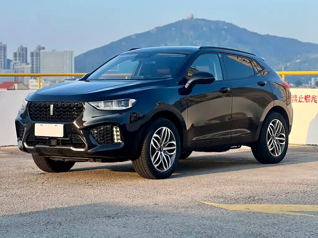 Wey VV5 2017