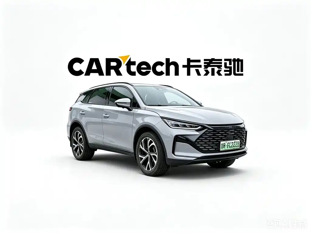 BYD Tang New Energy 2024 — фото 1
