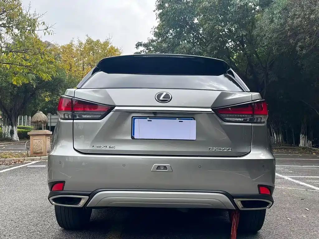 Lexus RX 2021 — фото 8