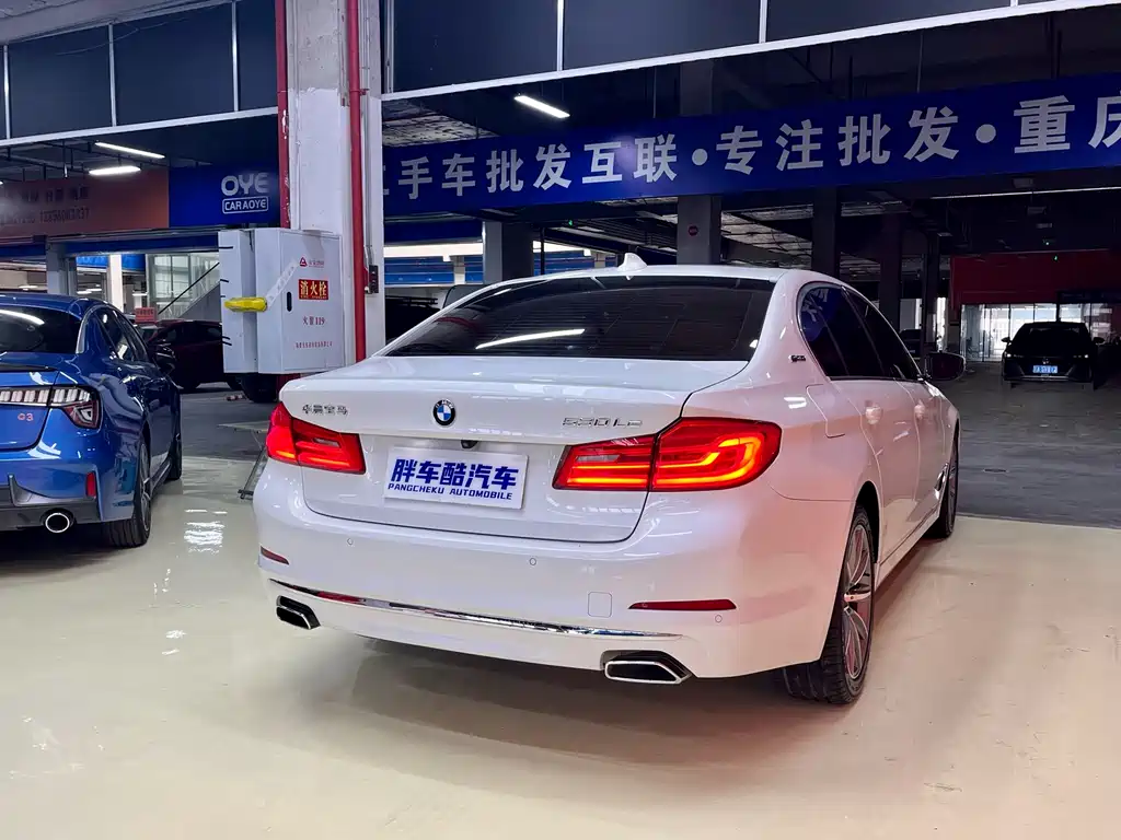 BMW 5 Series New Energy 2018 — фото 20