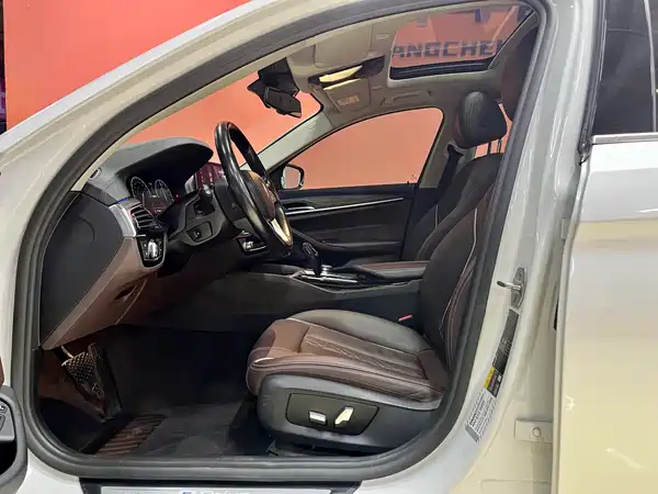 BMW 5 Series New Energy 2019