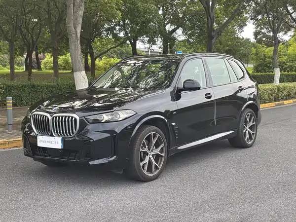 BMW X5 2025