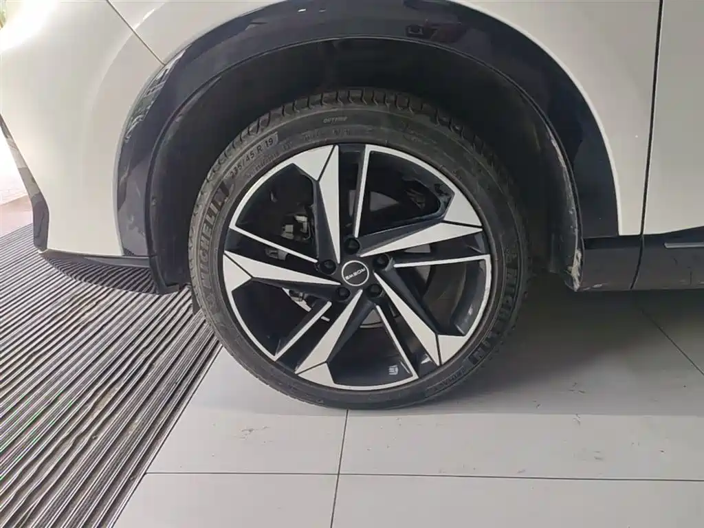 Roewe RX5 MAX 2023 — фото 23
