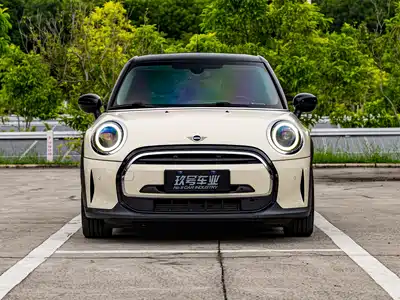 MINI MINI 2021