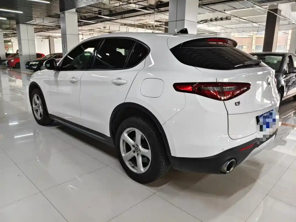Alfa Romeo Stelvio 2019 — фото 9