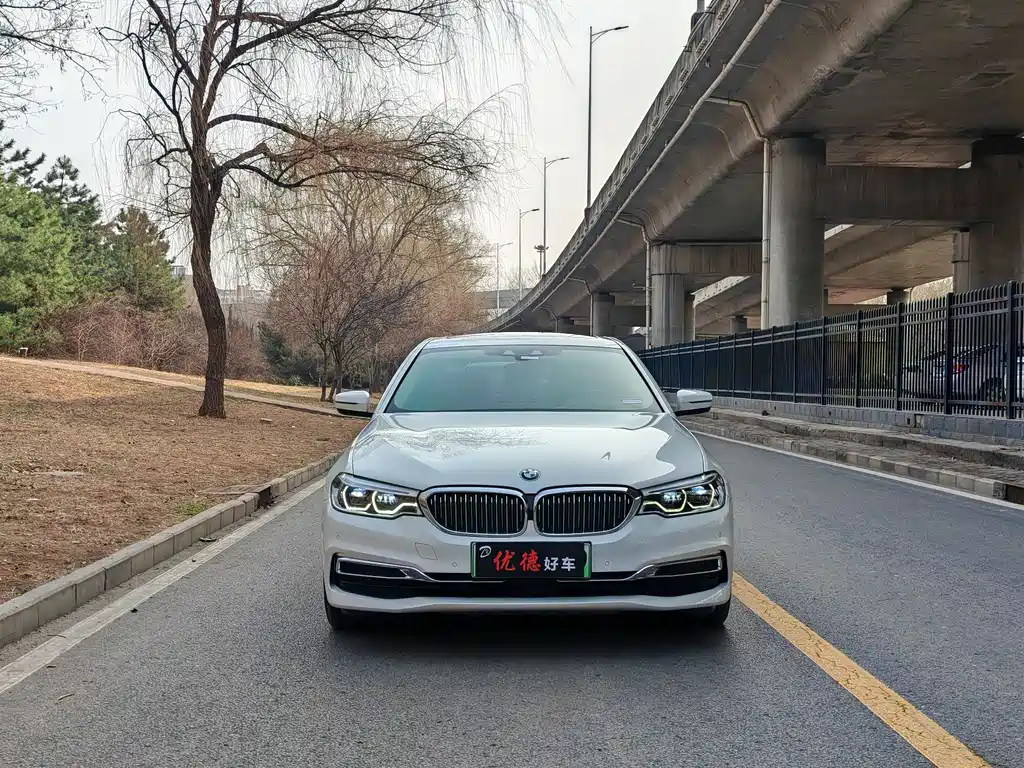 BMW 5 Series New Energy 2020