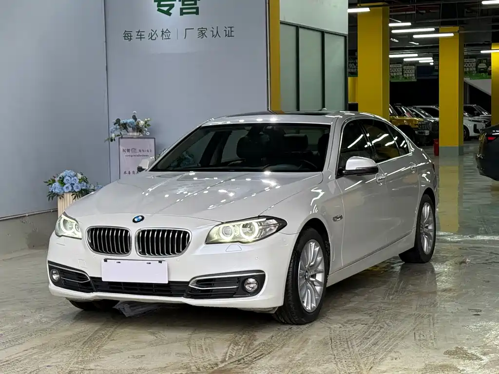 BMW 5 Series 2014
