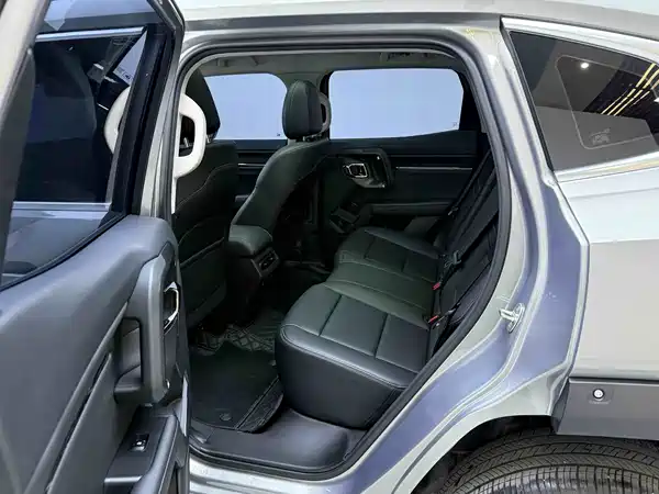 Haval Big Dog PLUS New Energy 2024