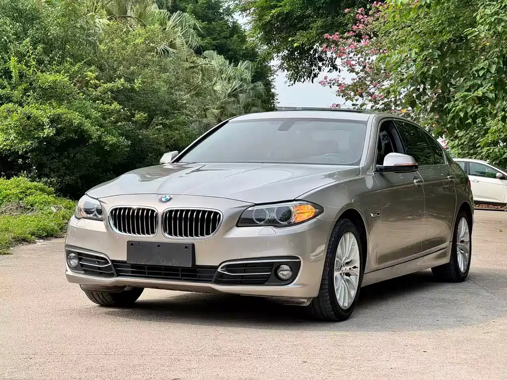 BMW 5 Series 2017 — фото 1