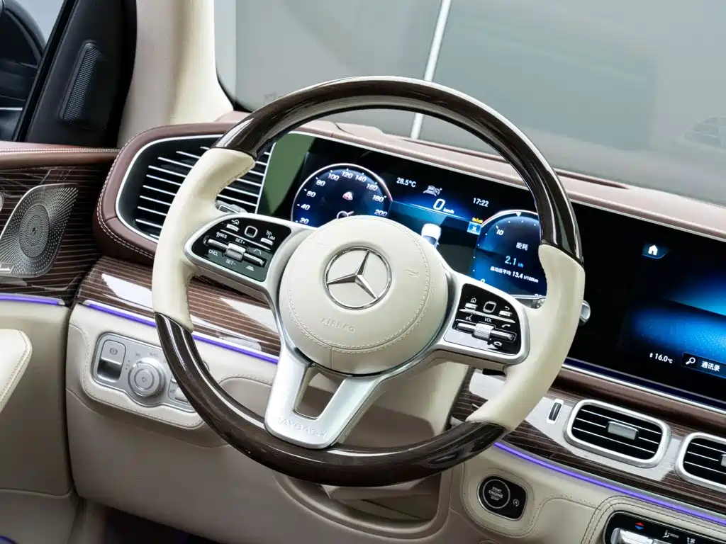 Mercedes-Benz Maybach GLS 2023 — фото 13