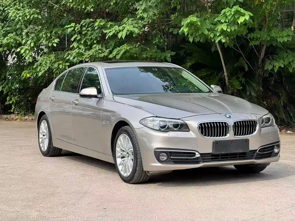 BMW 5 Series 2017 — фото 3