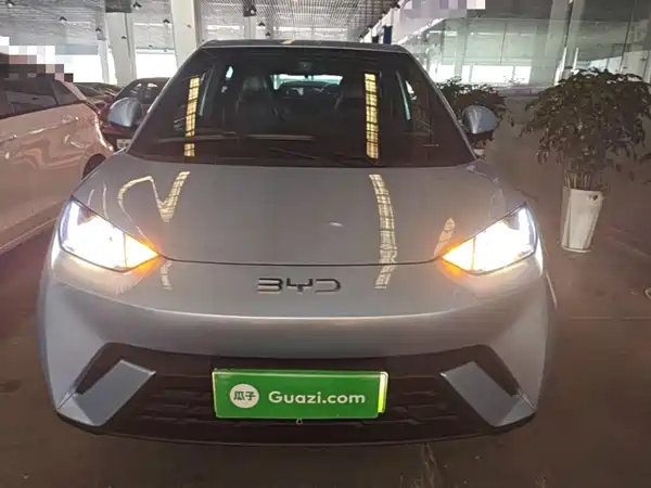 BYD Seagull 2024