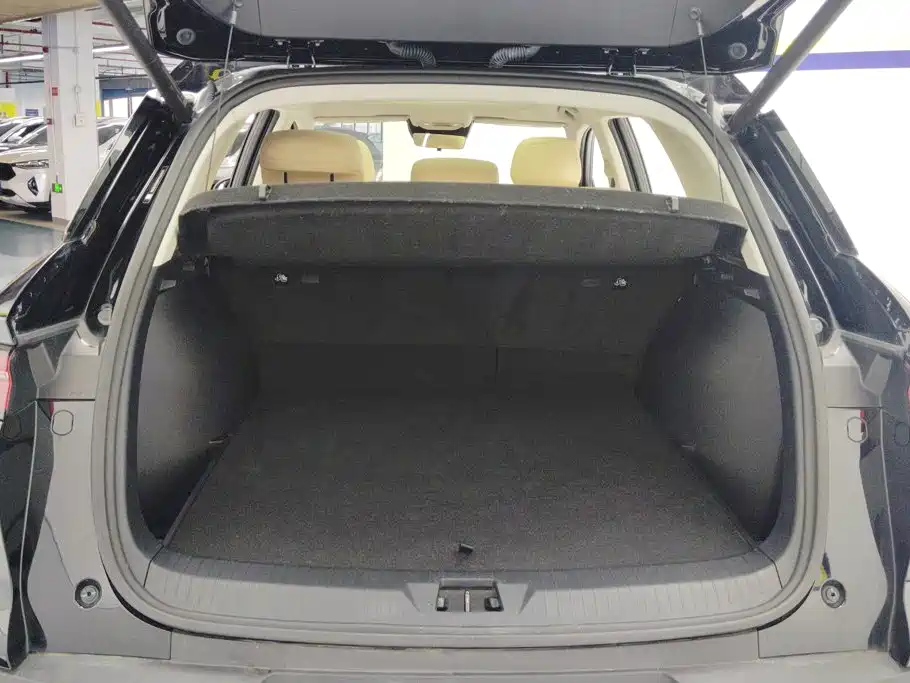BYD Song Pro New Energy 2025 — фото 4
