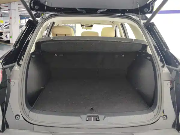 BYD Song Pro New Energy 2025