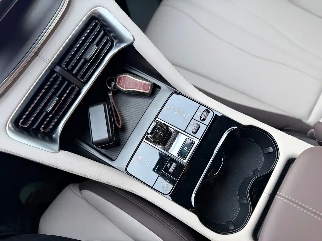 BYD Song PLUS New Energy 2025 — фото 9