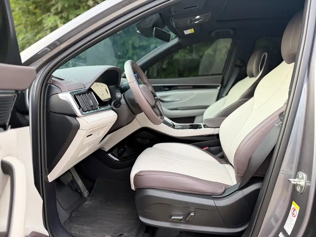 BYD Song PLUS New Energy 2025 — фото 10