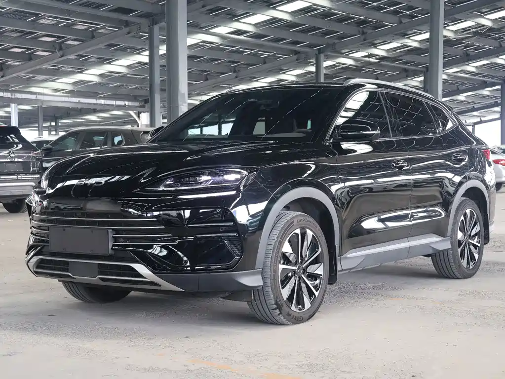 BYD Song PLUS New Energy 2025 — фото 1