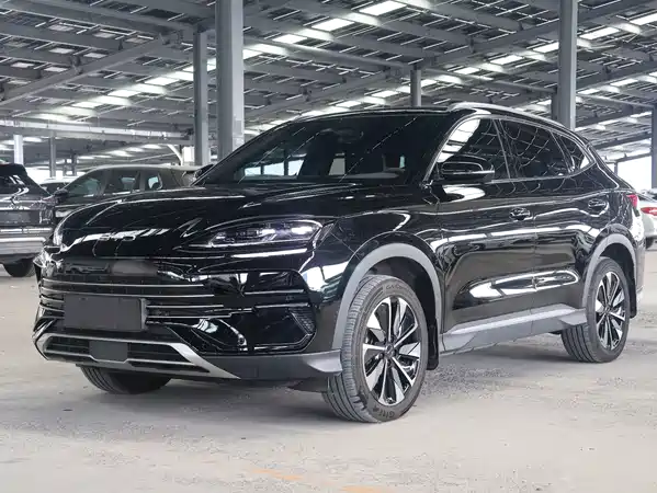 BYD Song PLUS New Energy 2025