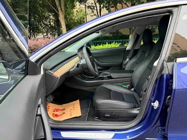 Tesla Model 3 2019