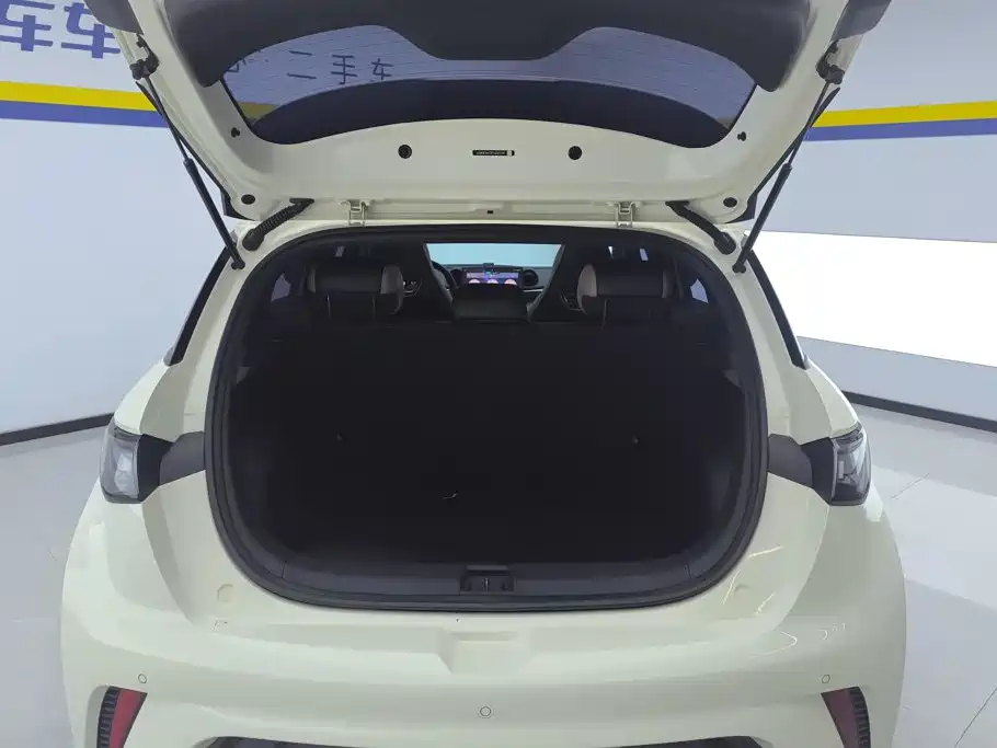 BYD Dolphin 2024