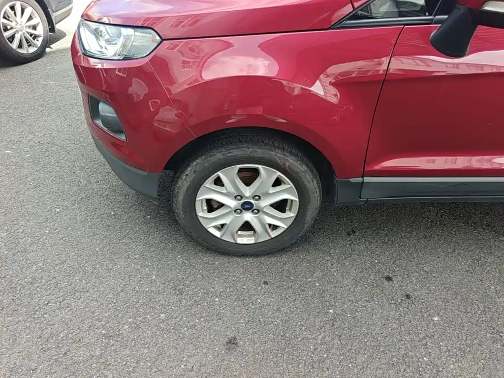 Ford Ecosport 2017 — фото 23