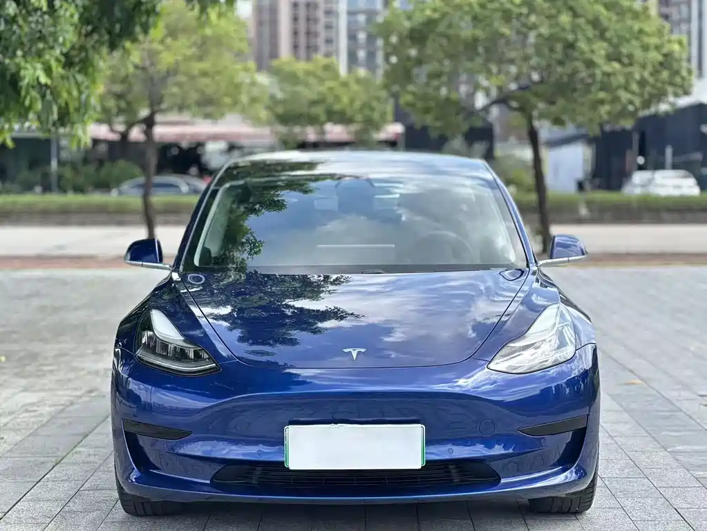 Tesla Model 3 2020 — фото 2