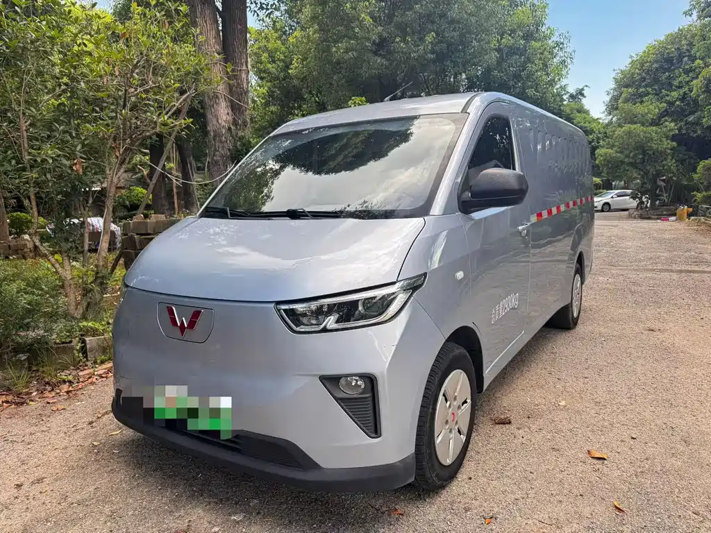 Wuling Yangguang 2024