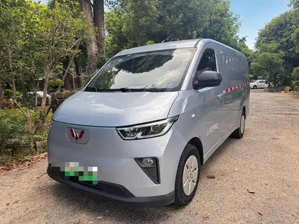 Wuling Yangguang 2024