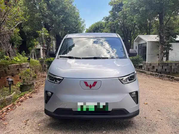 Wuling Yangguang 2024