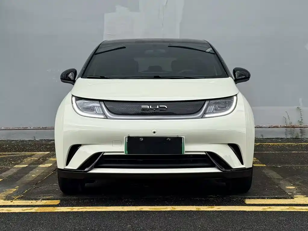 BYD Dolphin 2026