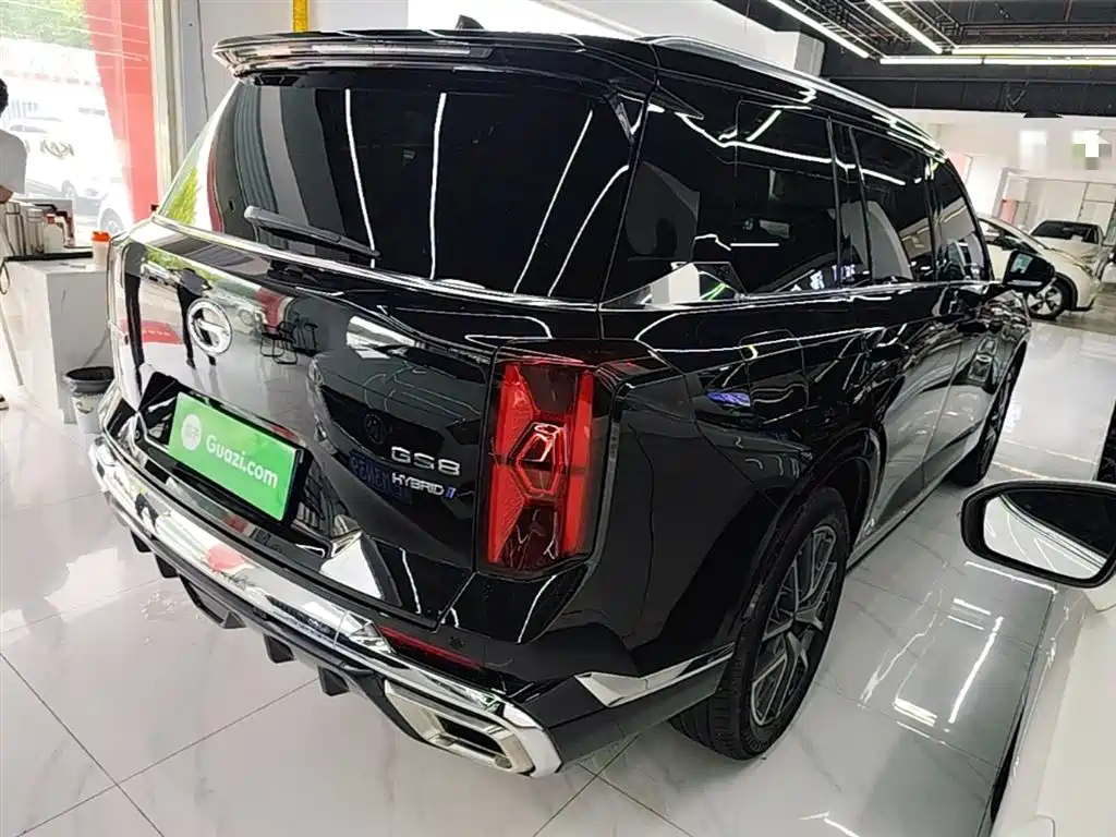 GAC Motor Trumpchi GS8 2024 — фото 7
