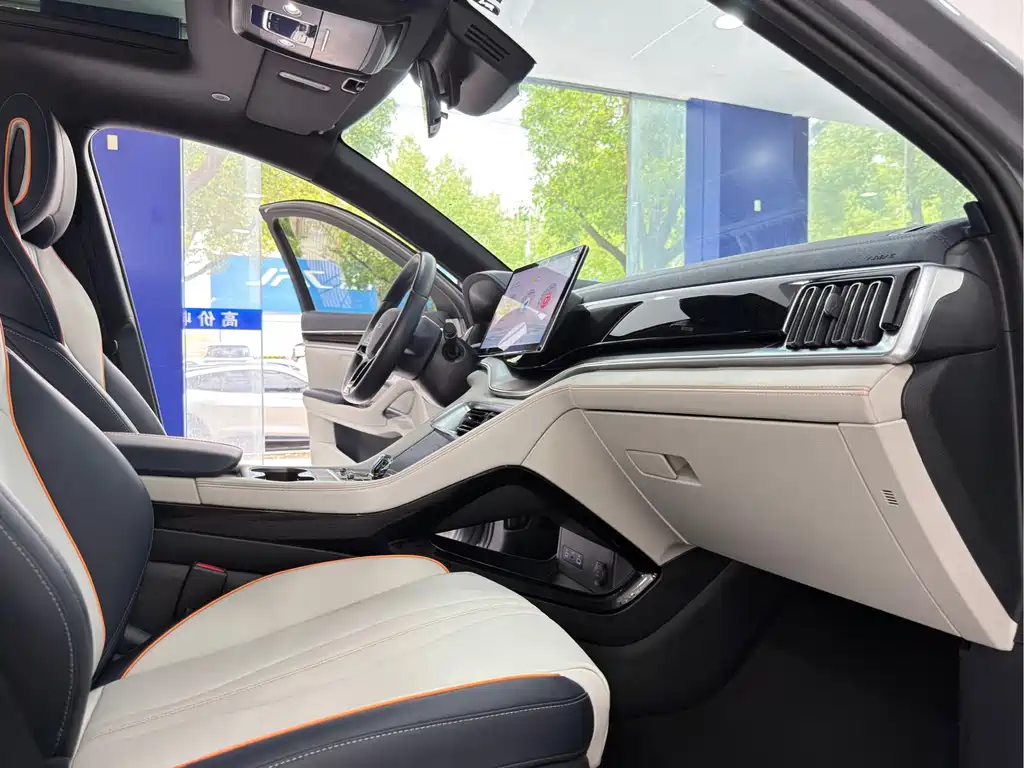 BYD Song PLUS New Energy 2024 — фото 12