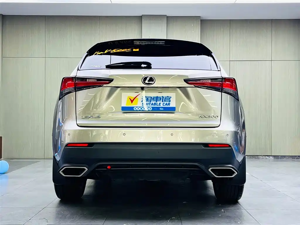 Lexus NX 2018 — фото 5