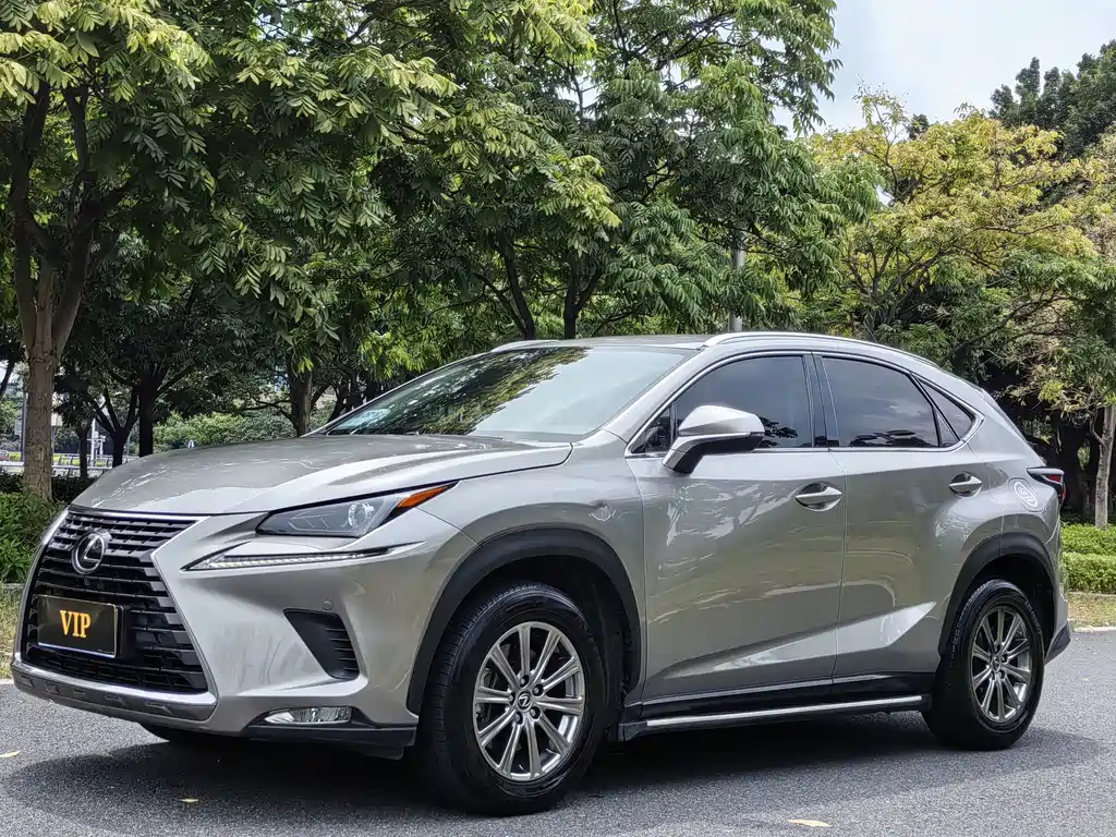 Lexus NX 2019 — фото 1