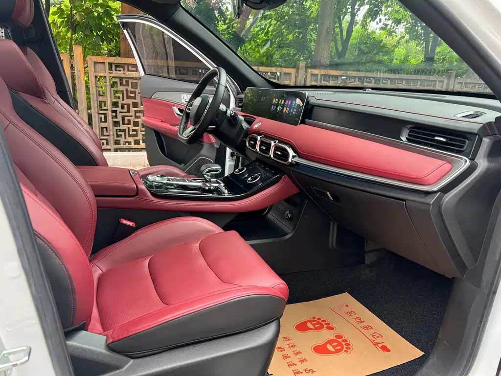 Jetour X70 PLUS 2022 — фото 14
